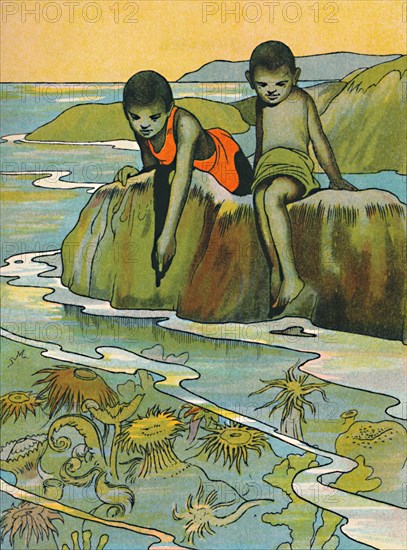 'A Garden in the Sea', 1912. Artist: Charles Robinson.