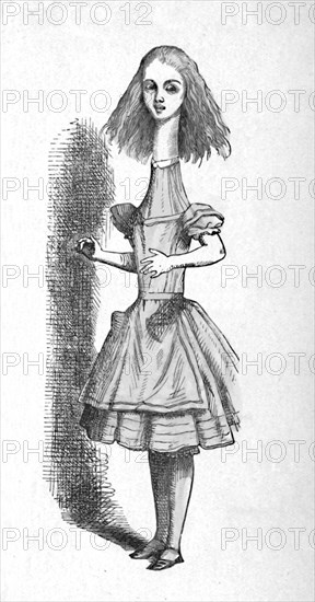 'Alice with a long neck', 1889. Artist: John Tenniel.