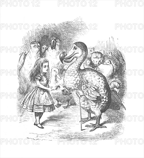 'Alice and the Dodo', 1889. Artist: John Tenniel.