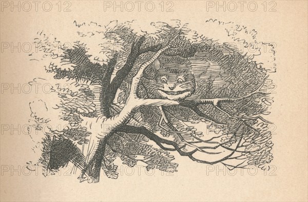 'The Cheshire Cat begins to fade away, it's his smile the last to go', 1889. Artist: John Tenniel.