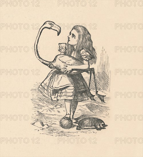 'Alice tries to play croquet with a flamingo as a mallet', 1889. Artist: John Tenniel.