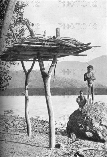 Mortuary platform in New Guinea, 1902. Artist: W Lindt.