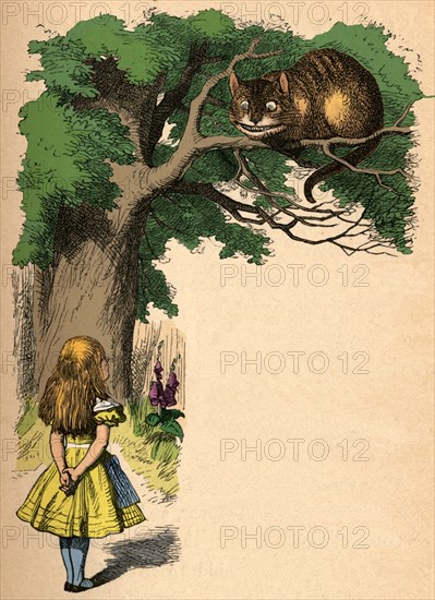 'Alice and the Cheshire Cat', 1889. Artist: John Tenniel.