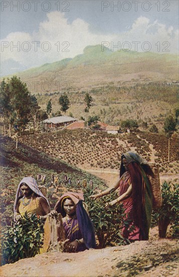 'Ceylon ...', c1920. Artist: Underwood.