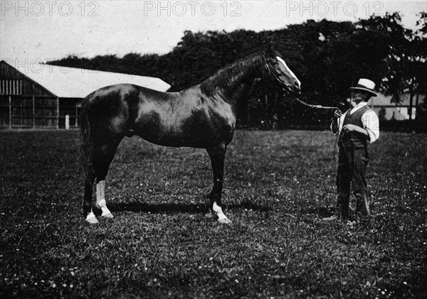 'Victor Wild', 1911. Artist: Unknown.
