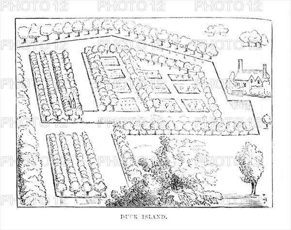 'Duck Island', c1870. Artist: Unknown.