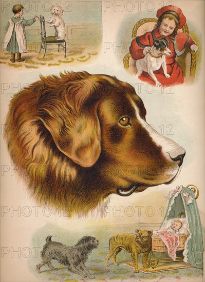 'The Dog', c1900. Artist: Helena J. Maguire.