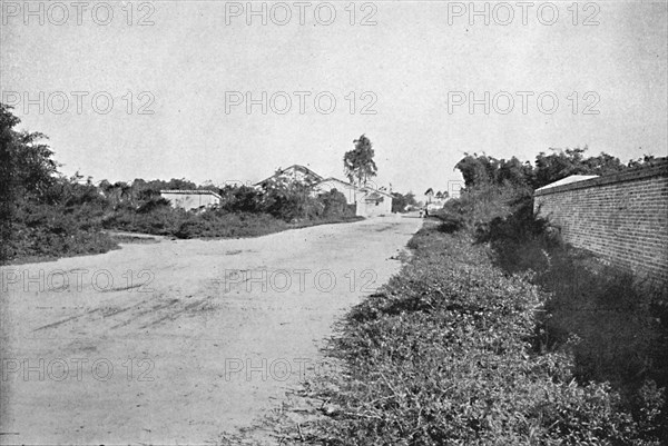 'Colonia de S. Bernardo', (Colony of Sao Bernardo do Campo), 1895. Artist: Axel Frick.