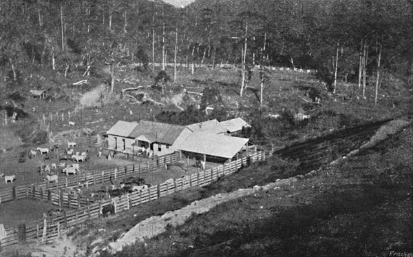 'Fazenda de Criacao (Campos do Jordao)', (Criacao Farm), 1895. Artist: Axel Frick.