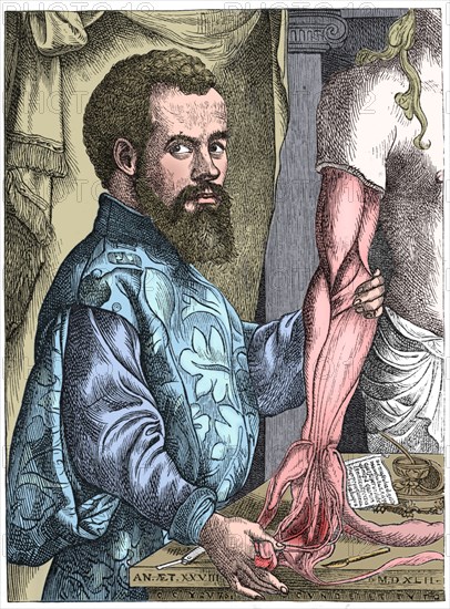 Andreas Vesalius, 16th century Flemish anatomist. Artist: Unknown.