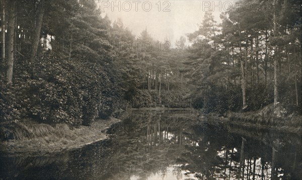 'Branksome Chine and Lake', c1910. Artist: Unknown.