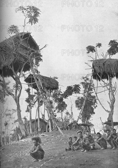 Dobos, tree houses for unmarried women in Melanesia, 1902. Artist: W Lindt.