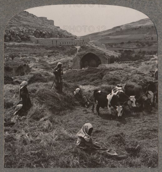 'Threshing grain near Jacob's Well', c1900. Artist: Unknown.