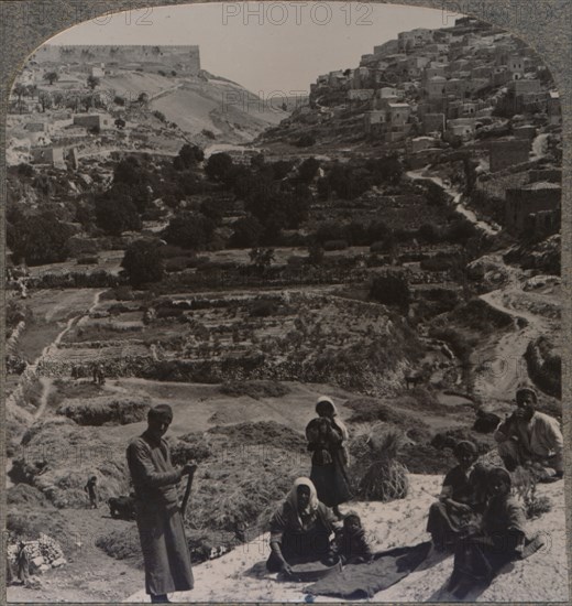 'Threshing on roof; overlooking the valley of Kedron', c1900. Artist: Unknown.