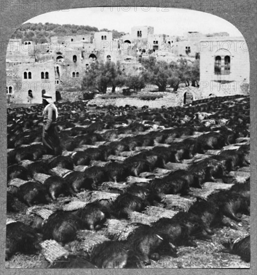 'Making wine bottles, Hebron', c1900. Artist: Unknown.