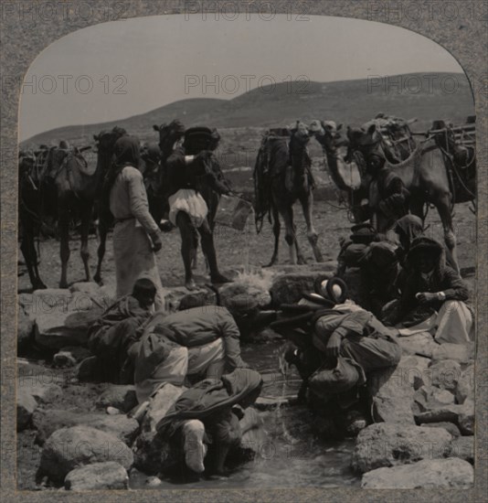 'Watering camels at Jacob's Well', c1900. Artist: Unknown.