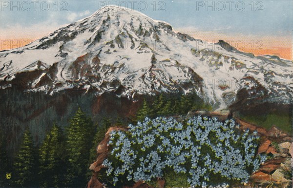 'The Phlox on Mount Rainier', c1916. Artist: Romans Photographic Company.