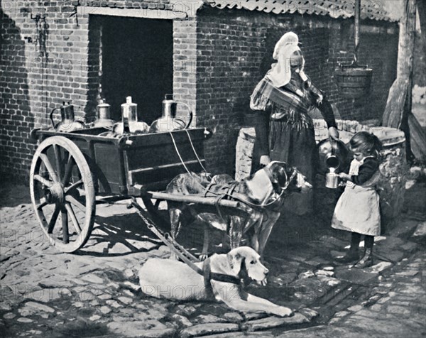 A Belgian peasant woman and her draught dogs, 1912. Artist: Neurdein freres.