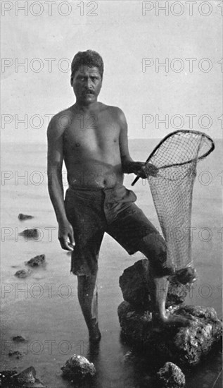 A native shrimper, Hawaii, with his net, 1902. Artist: Unknown.