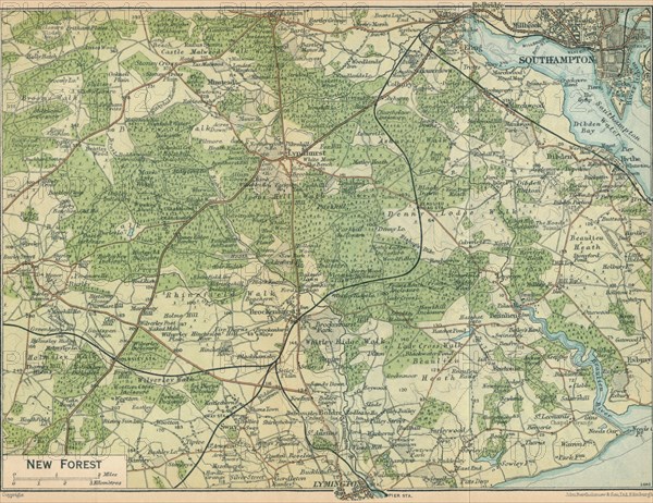 'New Forest', c20th Century. Artist: John Bartholomew.