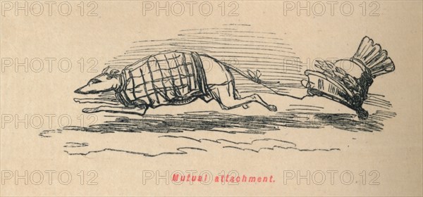 'Mutual attachment', 1852. Artist: John Leech.