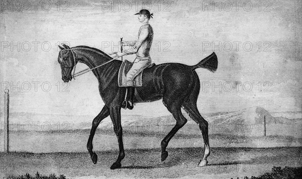 'Little Driver', c1850-1900, (1911). Artist: Unknown.