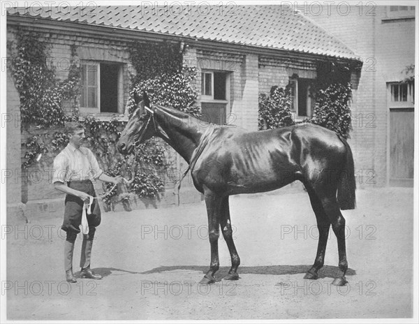 'Australian Star', 1911. Artist: Unknown.