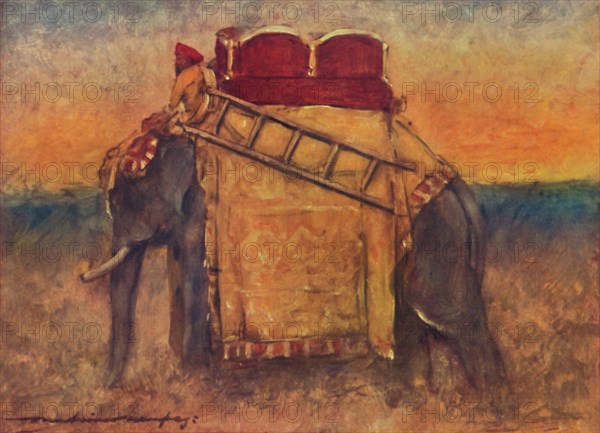 'An Elephant of Central India', 1903. Artist: Mortimer L Menpes.