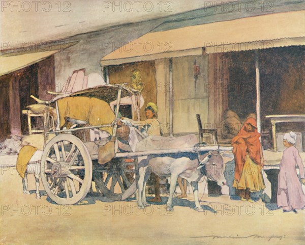 'A Bullock-cart, Ajmere', 1905. Artist: Mortimer Luddington Menpes.