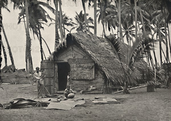 'Kokospalmen und Einngeborenenhutte aus Kokosblattern (An den Stammen links, angebundene Blatter geg Artist: Unknown.