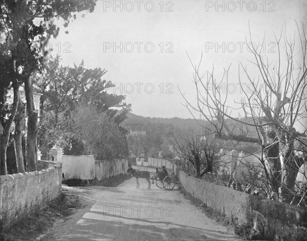 'A Road in Port Royal, Bermuda', 19th century. Artist: Unknown.