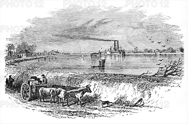 'The Levee', 1883. Artist: Unknown.