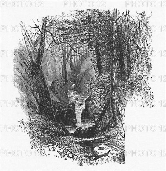 'A Feeder to the Lake', 1883. Artist: Unknown.