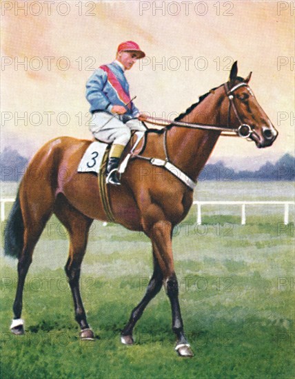 Bookseller, Jockey: G. Richards', 1939. Artist: Unknown.