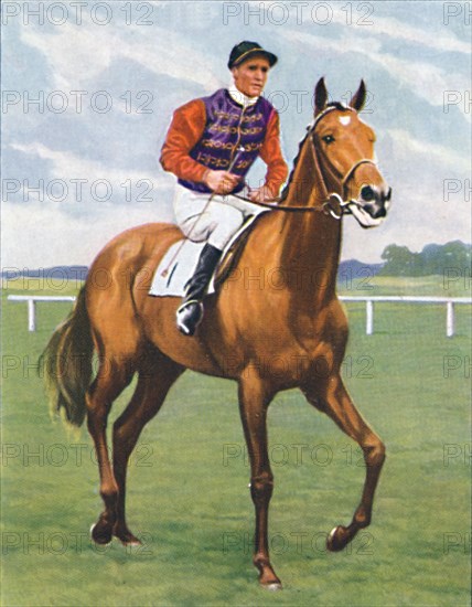 Cosmopolitan, Jockey: J. Crouch', 1939. Artist: Unknown.