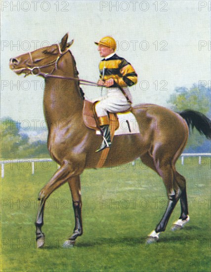 Golden Sovereign, Jockey: T. Weston', 1939. Artist: Unknown.