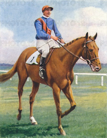 Panorama, Jockey: P. Beasley', 1939. Artist: Unknown.