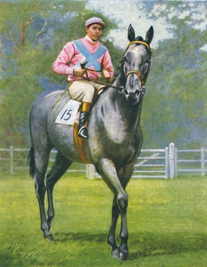 Rogerstone Castle, Jockey: E. C. Elliott', 1939. Artist: Unknown.