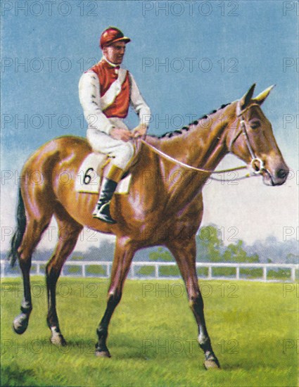 Royal Danieli, Jockey: D. Moore', 1939. Artist: Unknown.