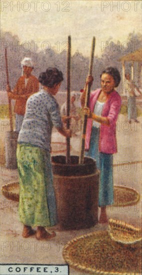 'Coffee, 3. Hulling the Beans, Java', 1928. Artist: Unknown.