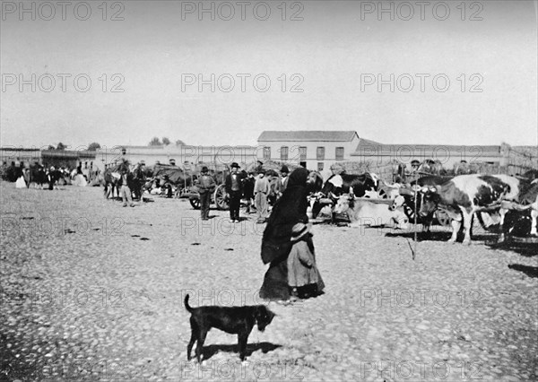 'Market Day at Chillan', 1911. Artist: Unknown.