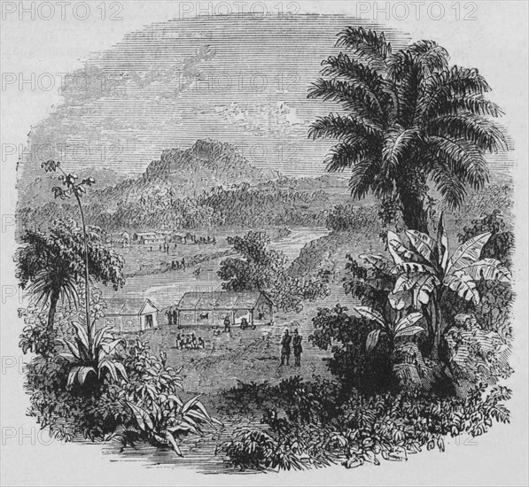 'View in Cayenne', c1880. Artist: Unknown.