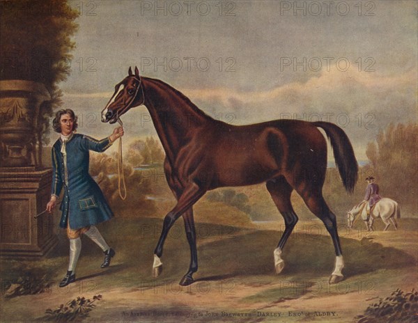 'The Darley Arabian', c1720, (1922). Artist: Unknown.