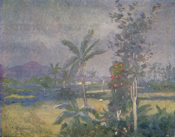 'Tropical Rains in the West Indies', 1924. Artist: Unknown.