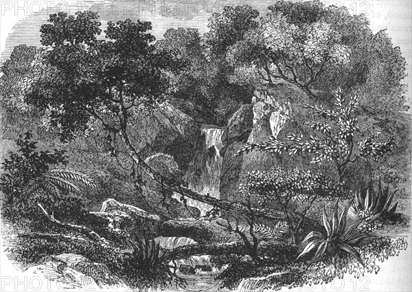 'New Zealand Landscape', c1880. Artist: Unknown.