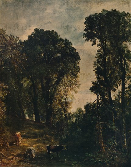 'Trees Near Hampstead Church', 1829, (c1915). Artist: John Constable.