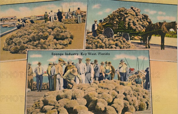 'Sponge Industry, Key West, Florida', c1940s. Artist: Unknown.