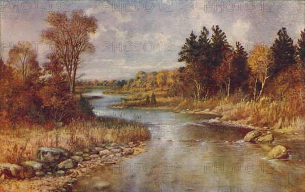 'Canadian Forest Scene', 1924. Artist: Unknown.