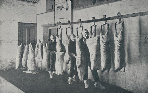 'Frozen Meat', 1910. Artist: Unknown.