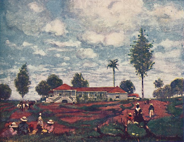 'A Coffee Fazenda', 1916. Artist: A S Forrest.